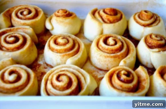 Baked cinnamon rolls close up in a white baking pan