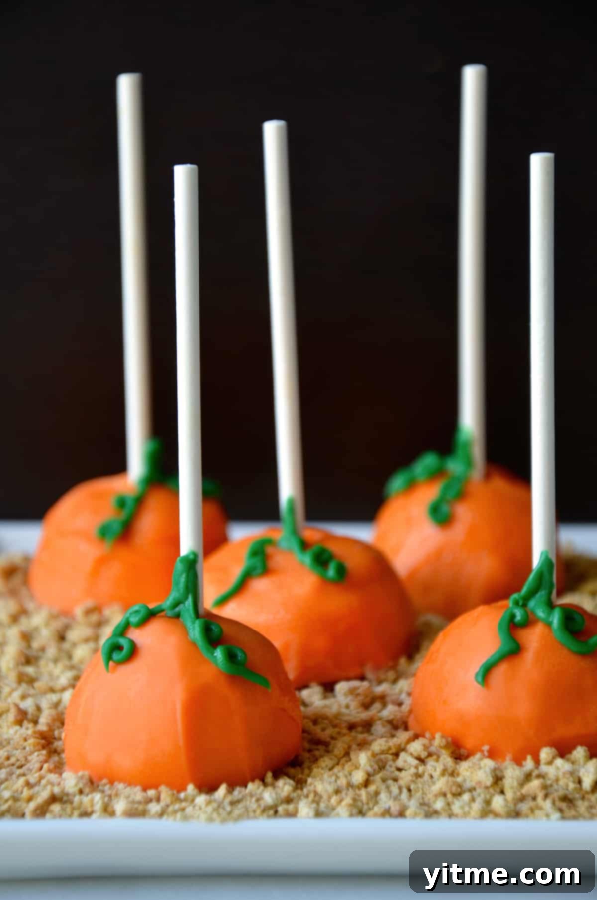 Pumpkin cheesecake pops on graham cracker crumbs