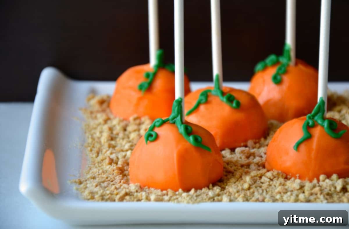 Pumpkin cheesecake pops on graham cracker crumbs