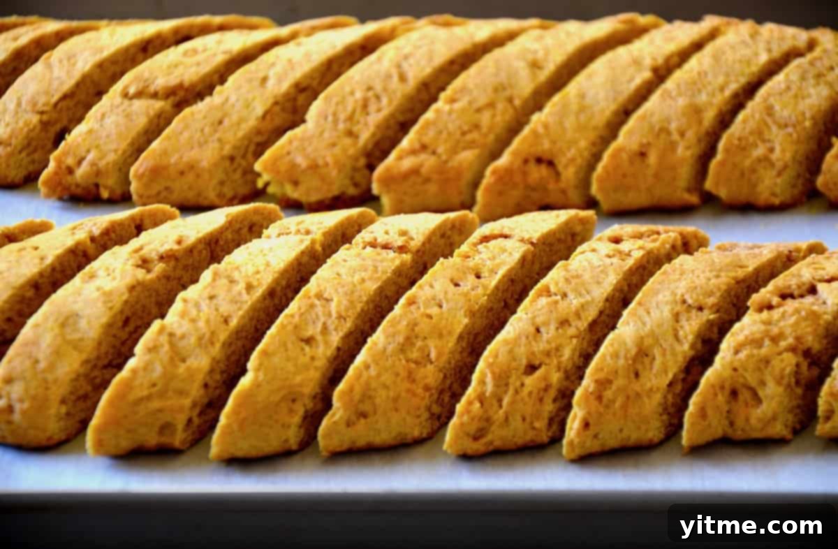 Rows of diagonally sliced and partially baked pumpkin pie biscotti stand upright on a parchment-lined baking sheet, perfectly spaced for their second bake.