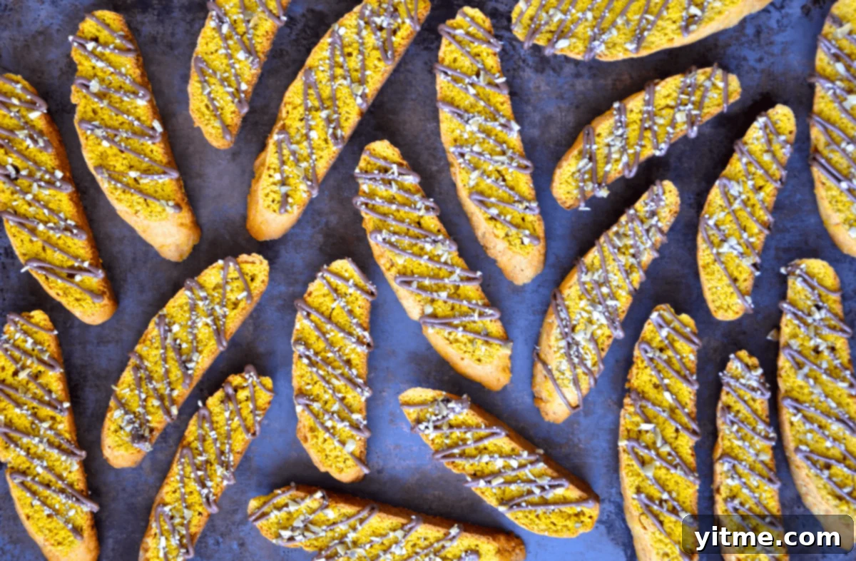 A beautifully arranged selection of chocolate-drizzled pumpkin pie biscotti, garnished with pumpkin seeds, on a rustic serving tray, ready for a fall gathering.