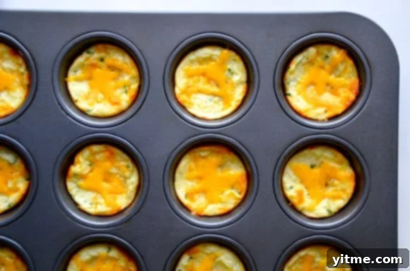 Cheesy Leftover Mashed Potato Muffins Recipe from justataste.com