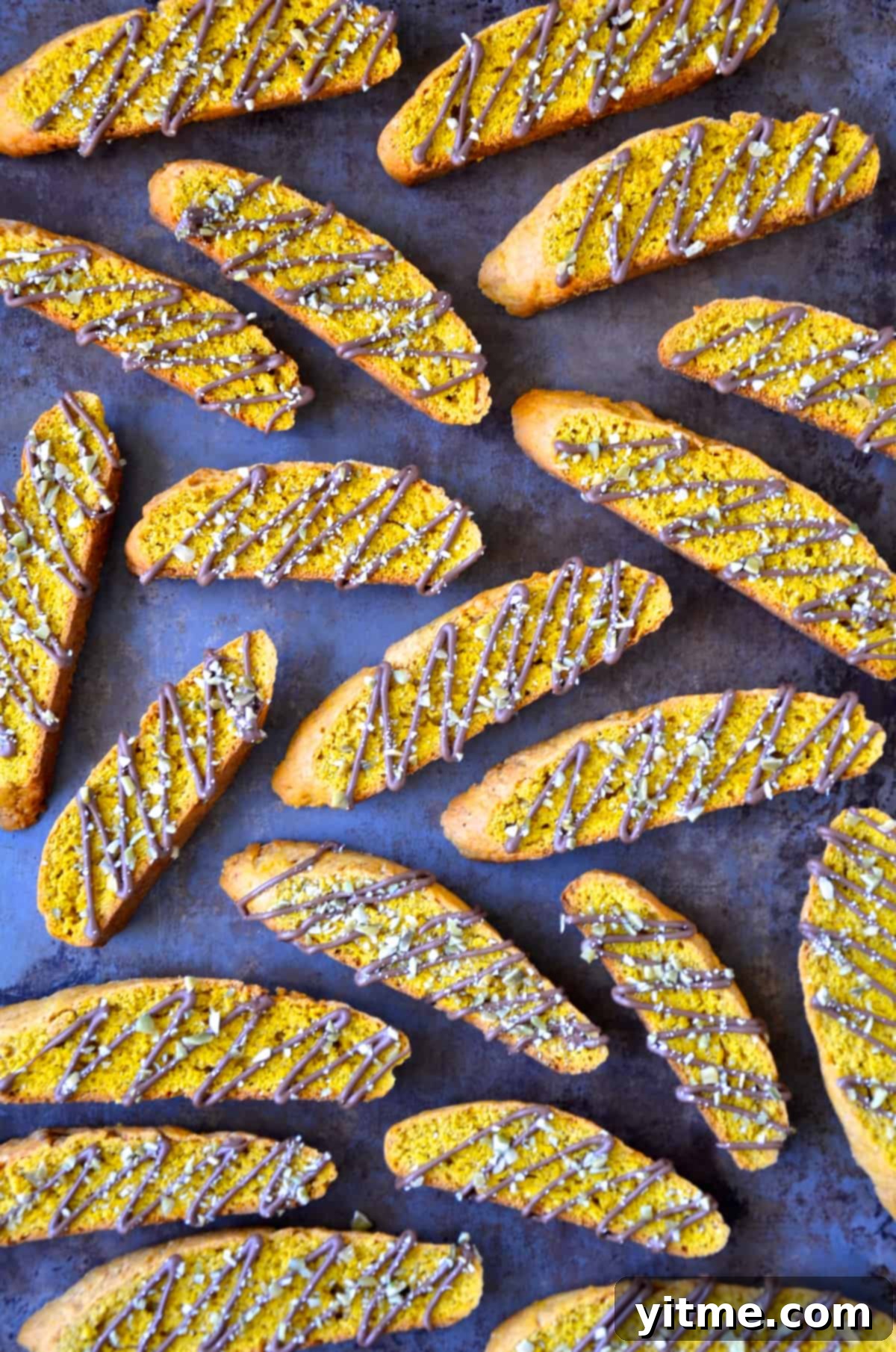 Crisp pumpkin pie biscotti, delicately drizzled with melted chocolate and sprinkled with chopped pumpkin seeds.