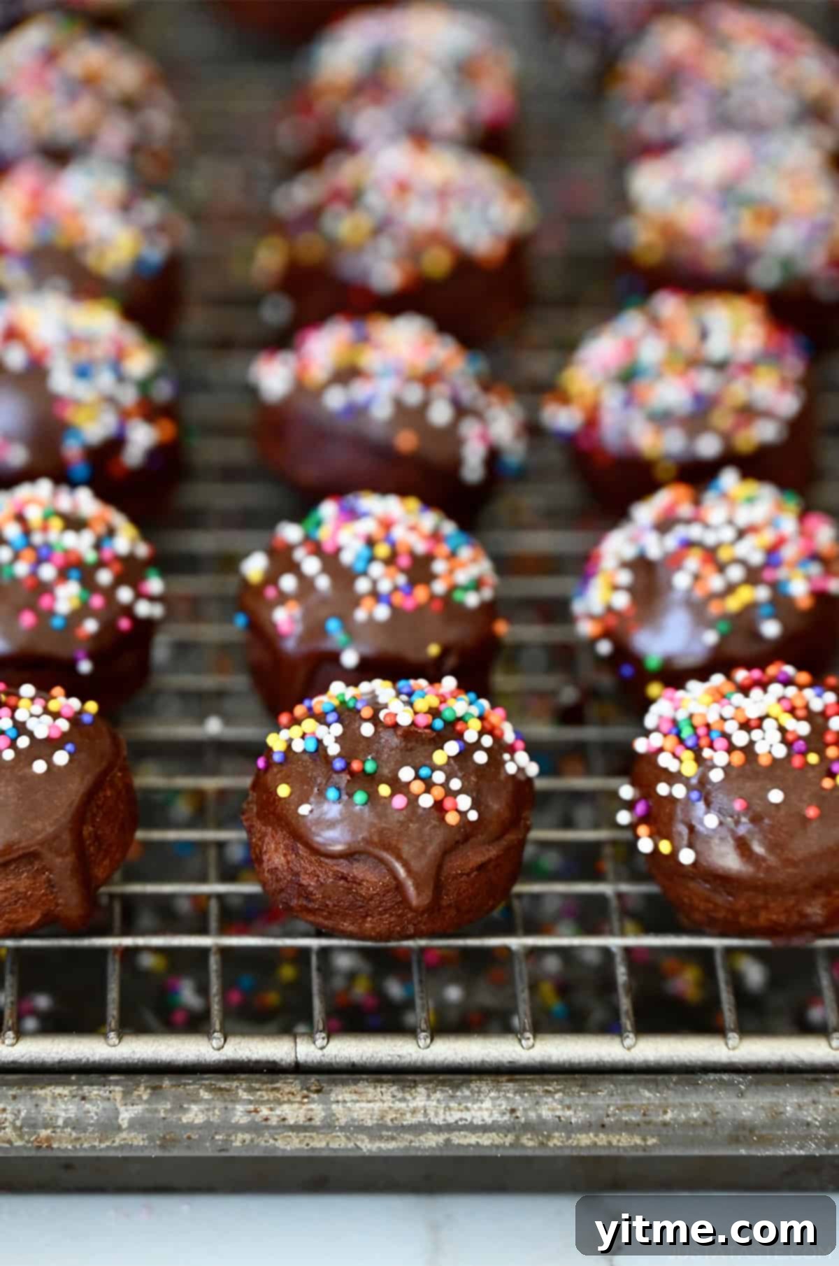 Glazed chocolate doughnut holes with rainbow sprinkles on a wire cooling rack, ready to be enjoyed.