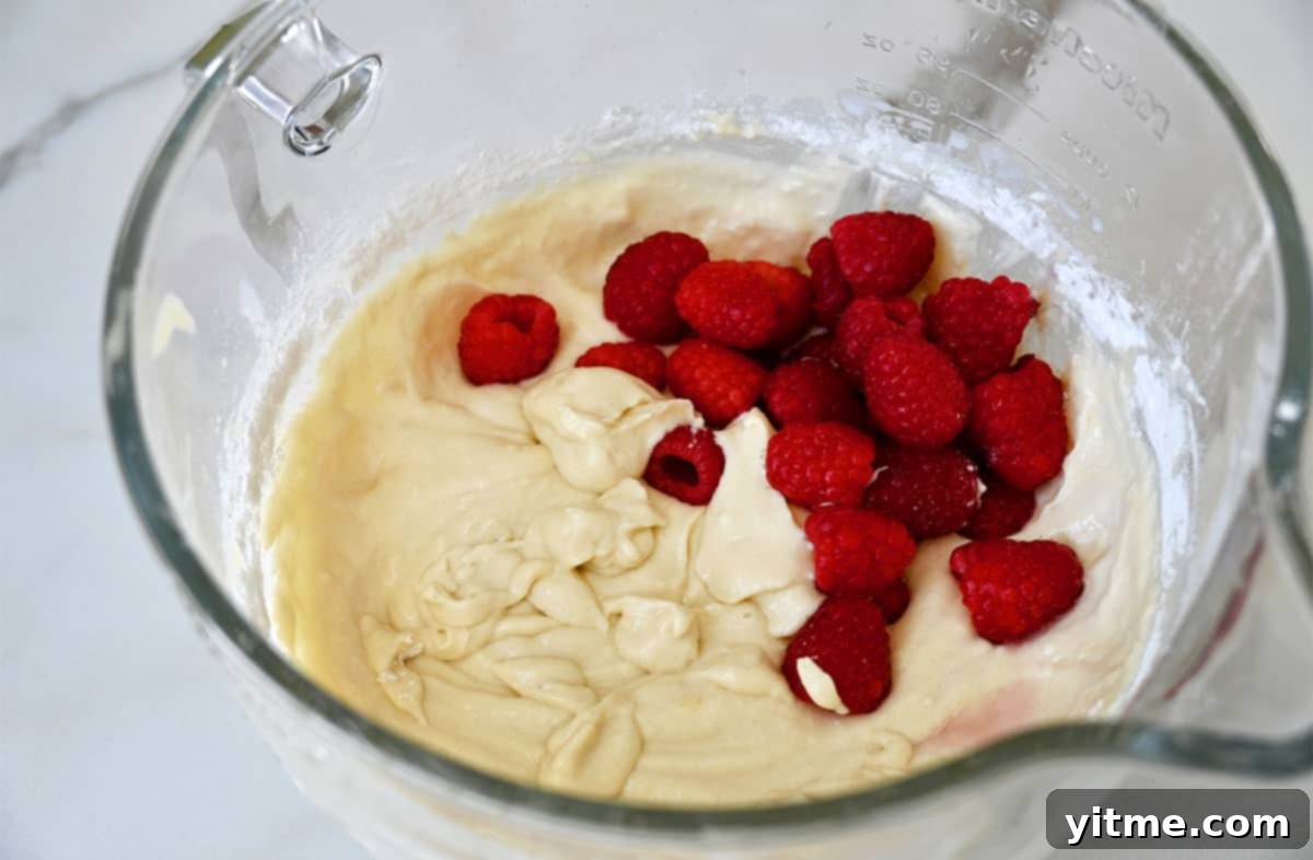 Raspberry Swirl Coffee Cake 5 Coffee Cake Batter with Raspberries
