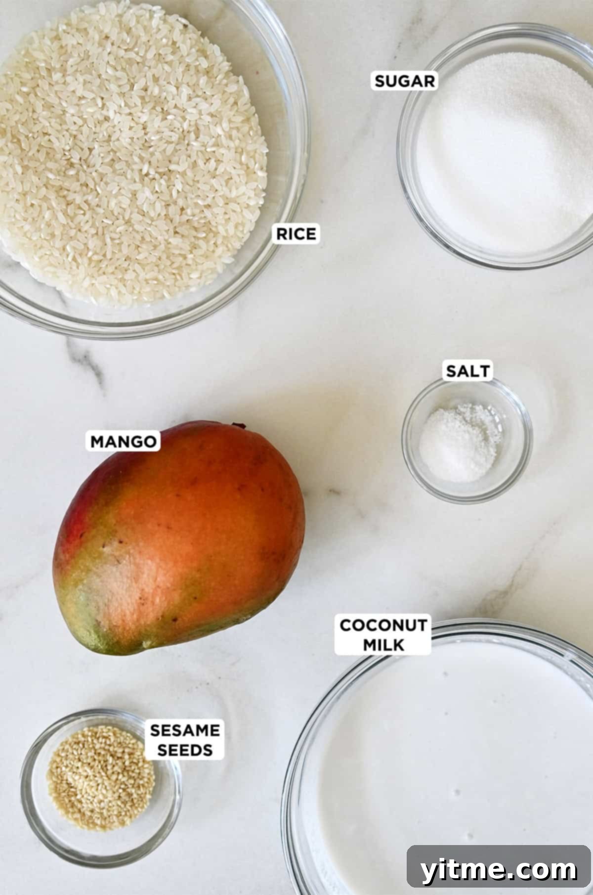Ingredients for Thai Coconut Sticky Rice: Rice, Coconut Milk, Mango