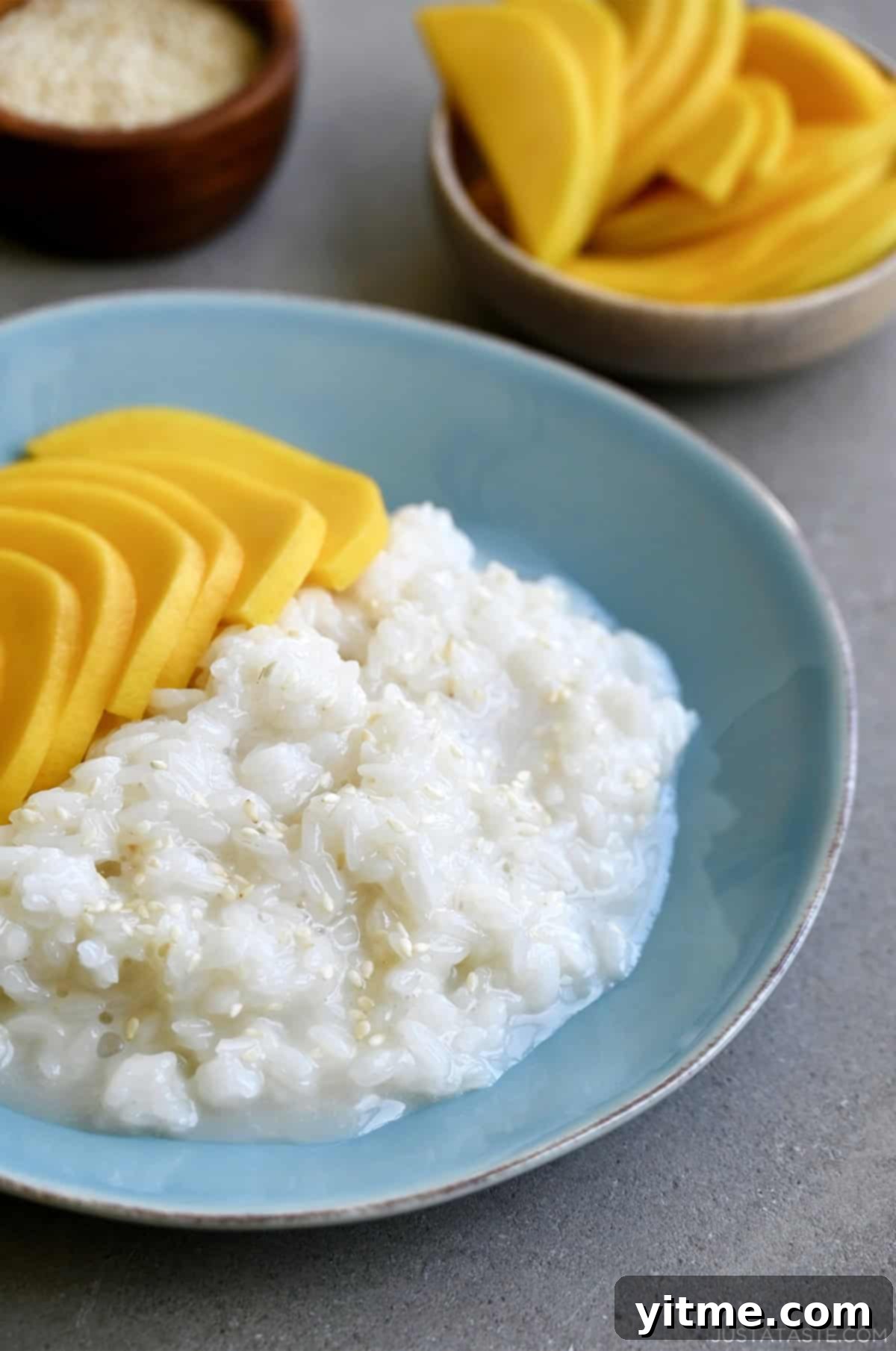 Thai Mango Sticky Rice Garnished with Coconut Flakes
