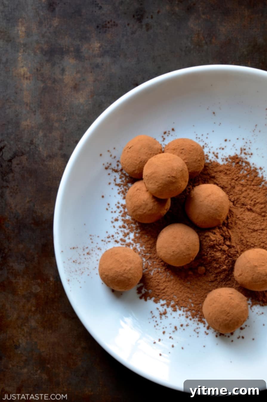A delicate arrangement of chocolate truffles, dusted with rich cocoa powder, displayed on a pristine white plate.
