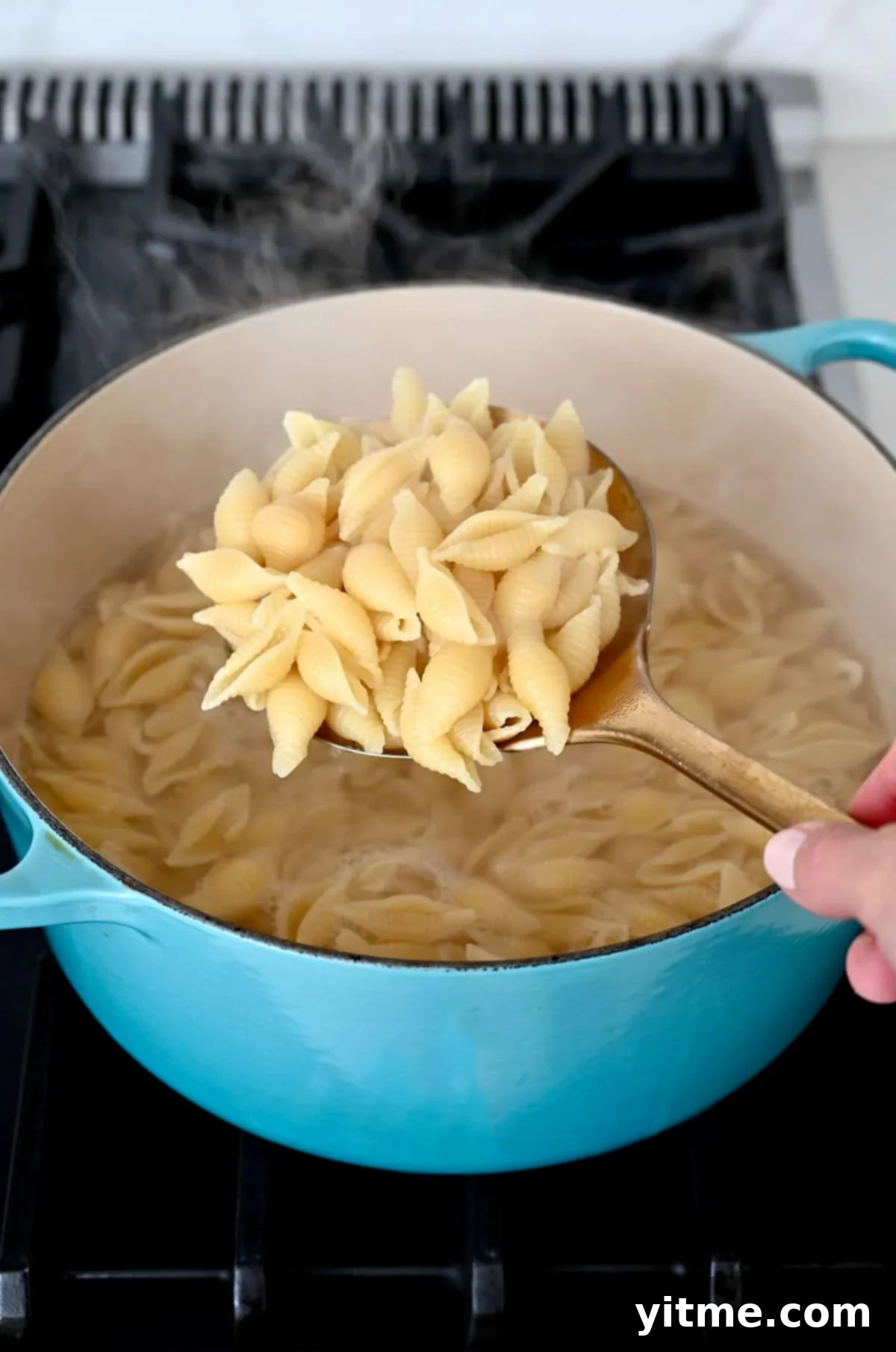 Cooked pasta shells being scooped out of a pot