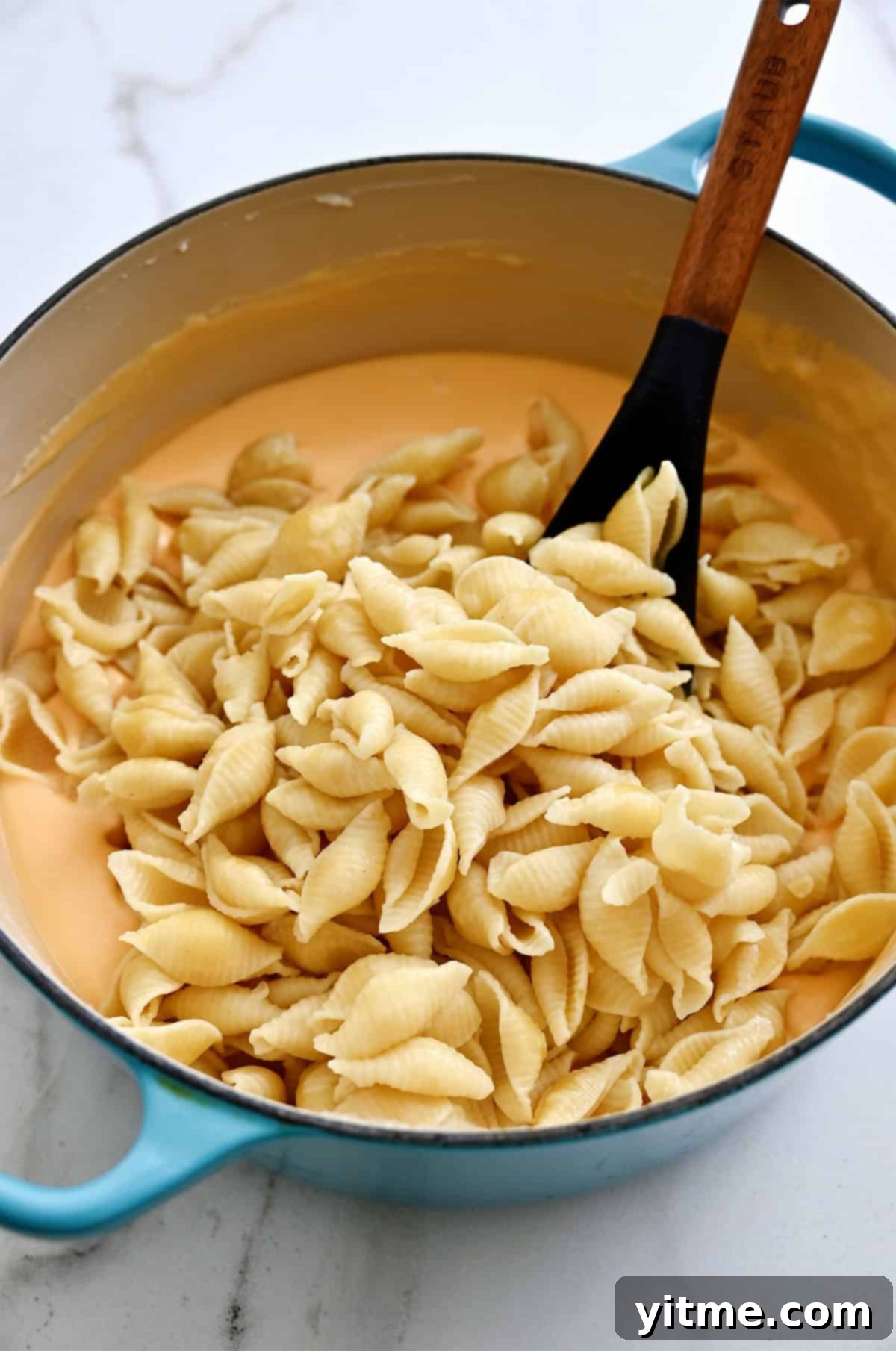 Adding pasta shells to creamy cheese sauce