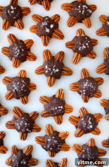 Cheesecake-Filled Chocolate Turtles recipe on justataste.com