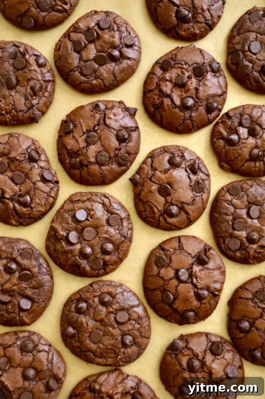 Chocolate Chip Brownie Cookies Recipe