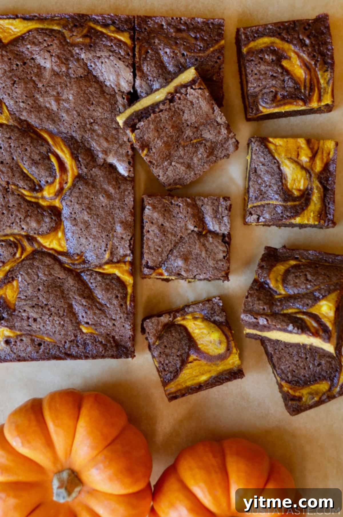 Pumpkin cheesecake brownies out of their pan and with several squares of brownies cut off and two small pumpkins beside them.
