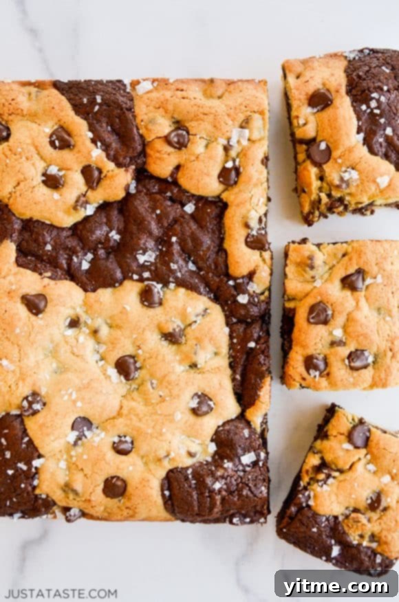 Chocolate Chip Cookie Brownies (Brookies) with large flake sea salt