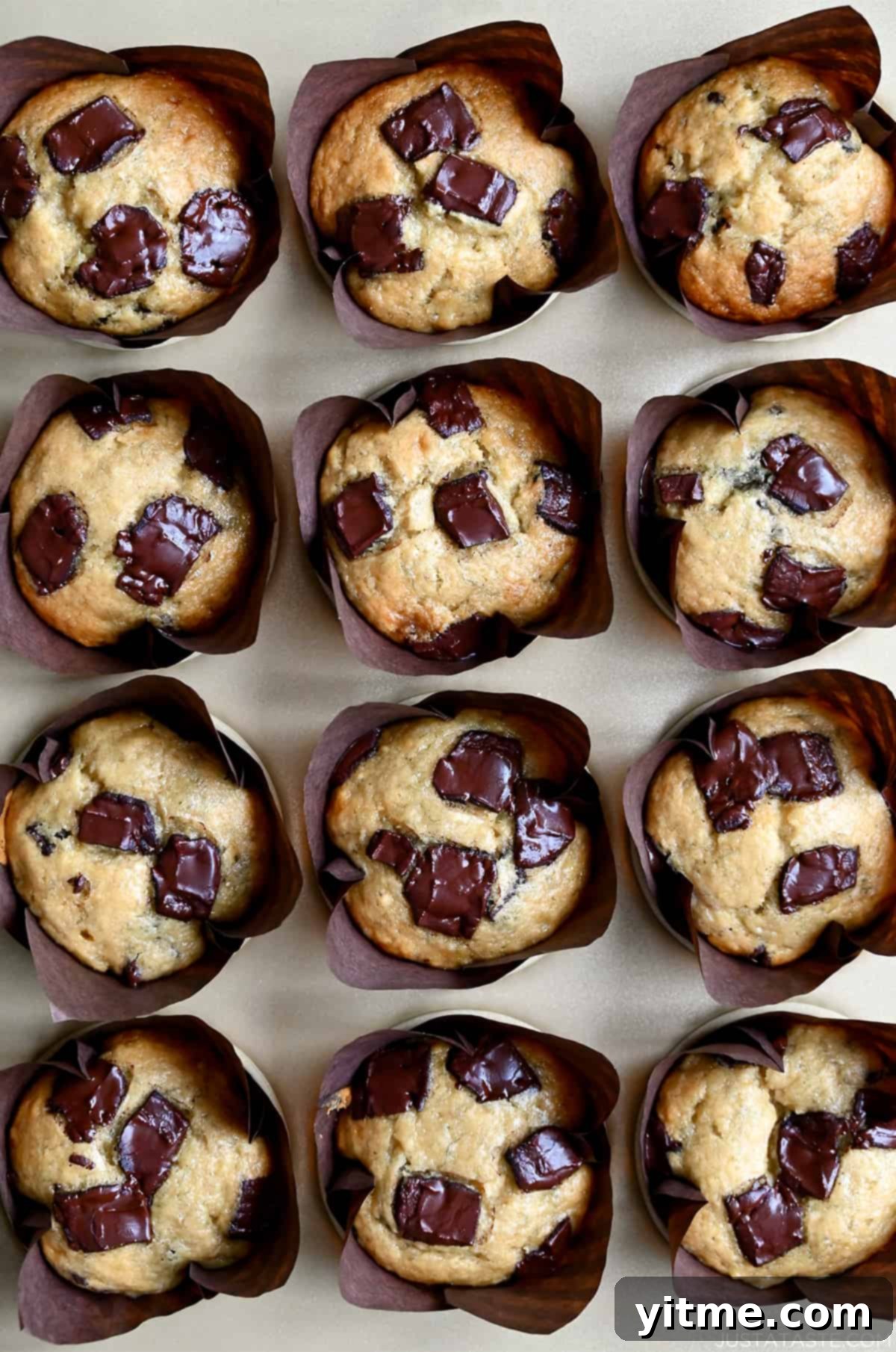 Banana Ripening Hack 3 Golden brown banana chocolate chip muffins baked in paper liners and arranged in a muffin tin, showcasing their moist interiors and abundant melted chocolate chips.