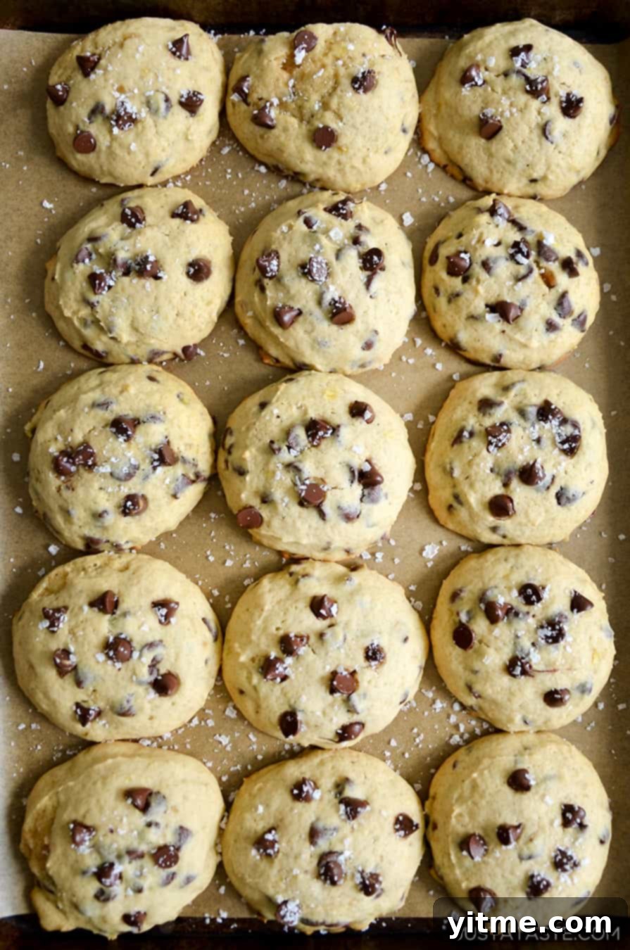 Banana Ripening Hack 4 A top-down view of soft, chewy Banana Chocolate Chip Cookies arranged on a parchment paper-lined baking sheet, generously studded with melted chocolate chips.