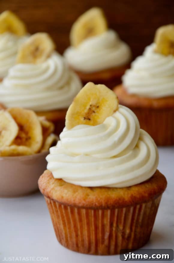 Banana Ripening Hack 9 Fluffy banana cupcakes topped with a swirl of rich cream cheese frosting and garnished with a crisp banana chip, presented beautifully for a delicious dessert.
