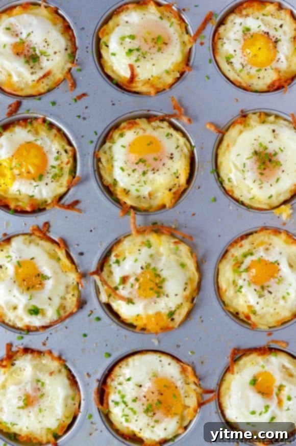 Cheesy Hash Brown Cups with Baked Eggs arranged in a muffin tin.