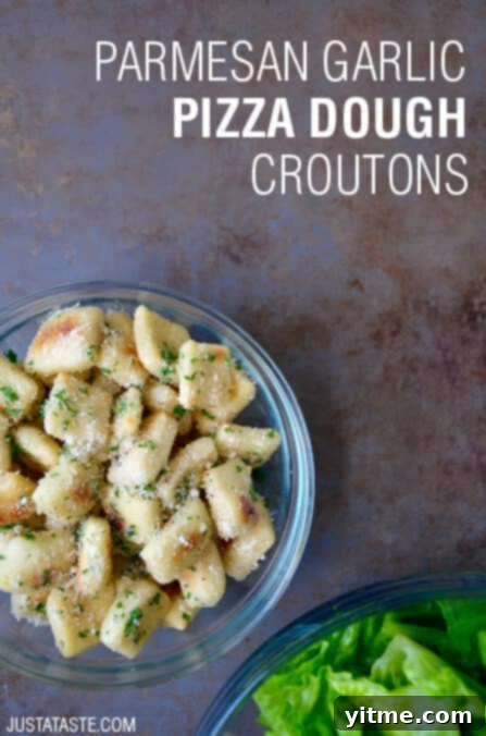 Oven Baked Parmesan Garlic Pizza Dough Croutons for Salads and Snacks