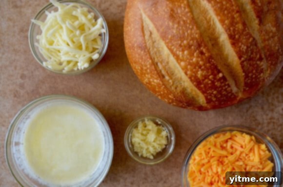 Golden Brown Cheesy Pull-Apart Garlic Bread with Melted Cheese
