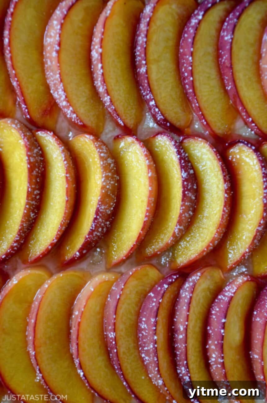 Close-up of a 5-Ingredient Peach Tart featuring rows of peach slices dusted with powdered sugar.
