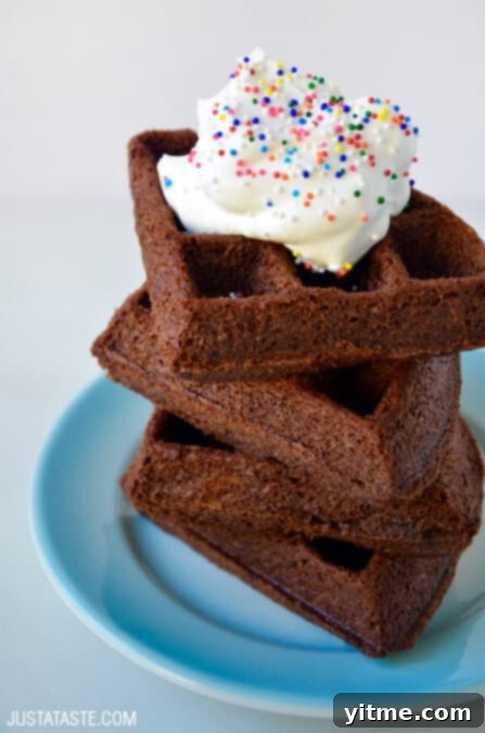 5-Minute Brownie Waffles Recipe