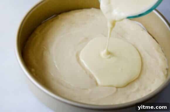Creamy cheesecake filling layered atop the coffee cake batter in a round pan.