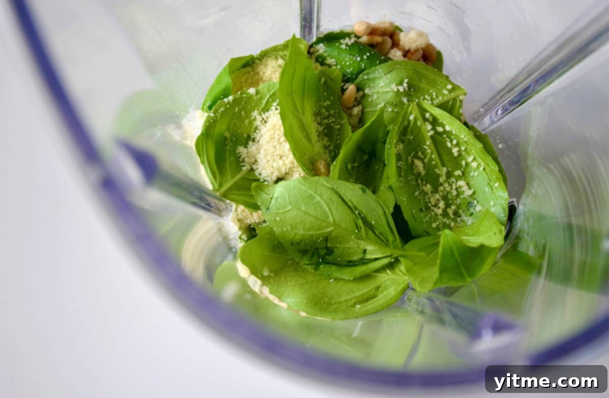 Pesto ingredients are in the jar of a blender, including basil, parmesan cheese and toasted pine nuts.