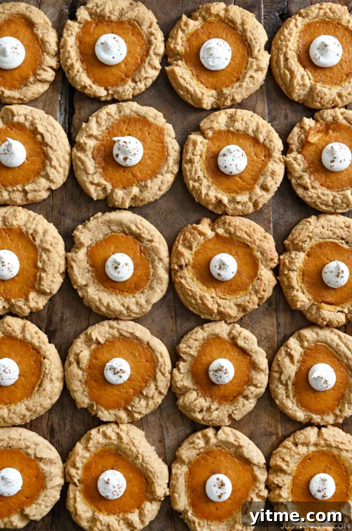 Rows of delectable pumpkin cheesecake cookies, each adorned with a dollop of whipped cream.