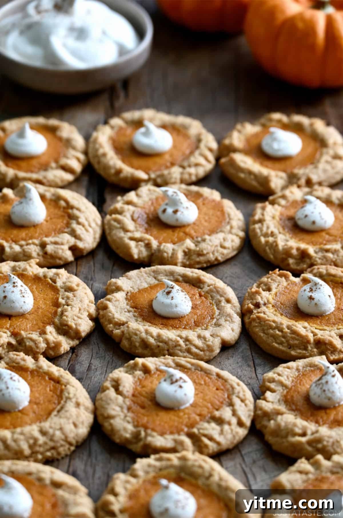 Pumpkin cheesecake cookies topped with whipped cream and pumpkin spice.