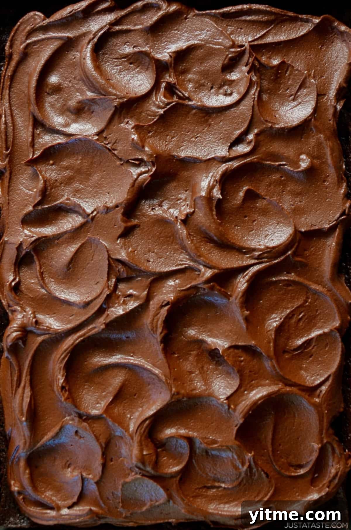 Chocolate cake with chocolate buttercream frosting