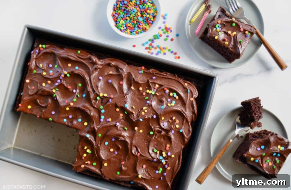 Chocolate sheet cake with chocolate buttercream and sprinkles