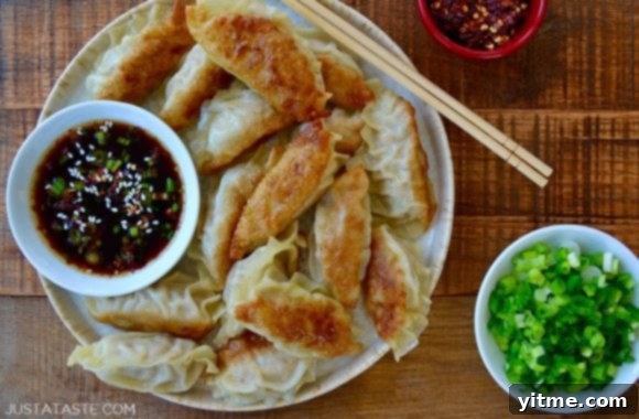 Chicken potstickers with dipping sauce