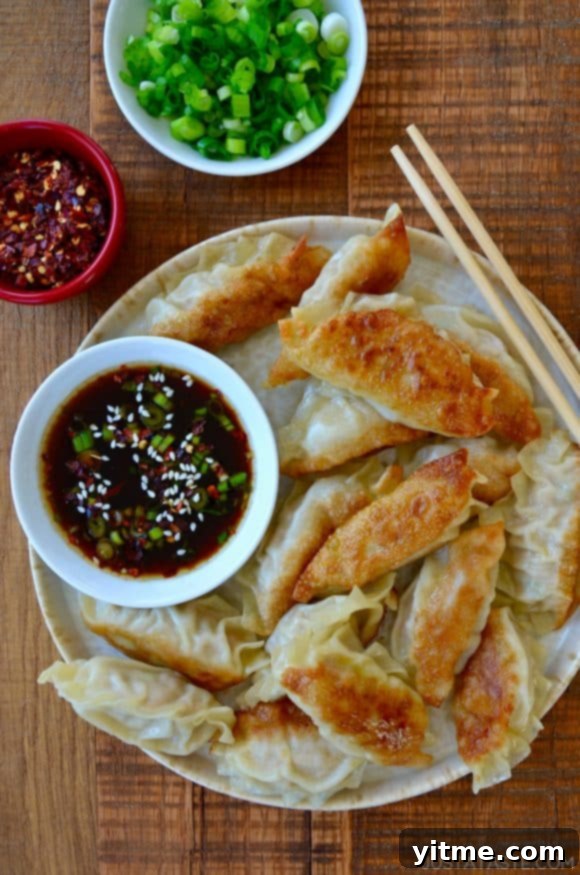 Chicken potstickers served with soy dipping sauce