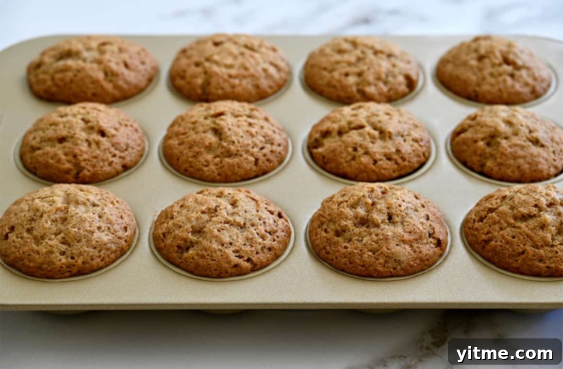 Baked carrot cupcakes in a muffin tin