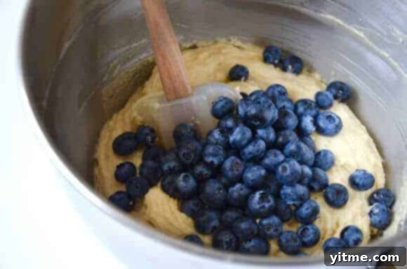 Crumb-Topped Blueberry Muffins 4 Blueberry Coffee Cake Muffins with Streusel Recipe