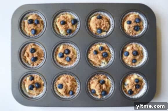 Crumb-Topped Blueberry Muffins 5 Blueberry Coffee Cake Muffins with Streusel Recipe