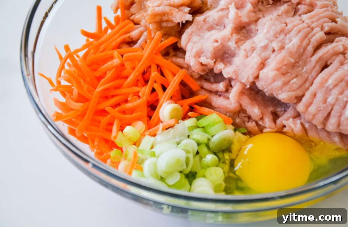 Making the egg roll filling: Ground chicken, egg, sliced scallions, and shredded carrots in a bowl.