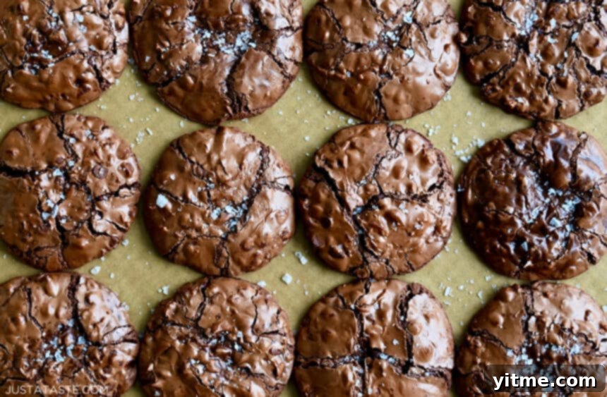 Fudgy flourless chocolate chip cookies dusted with sea salt