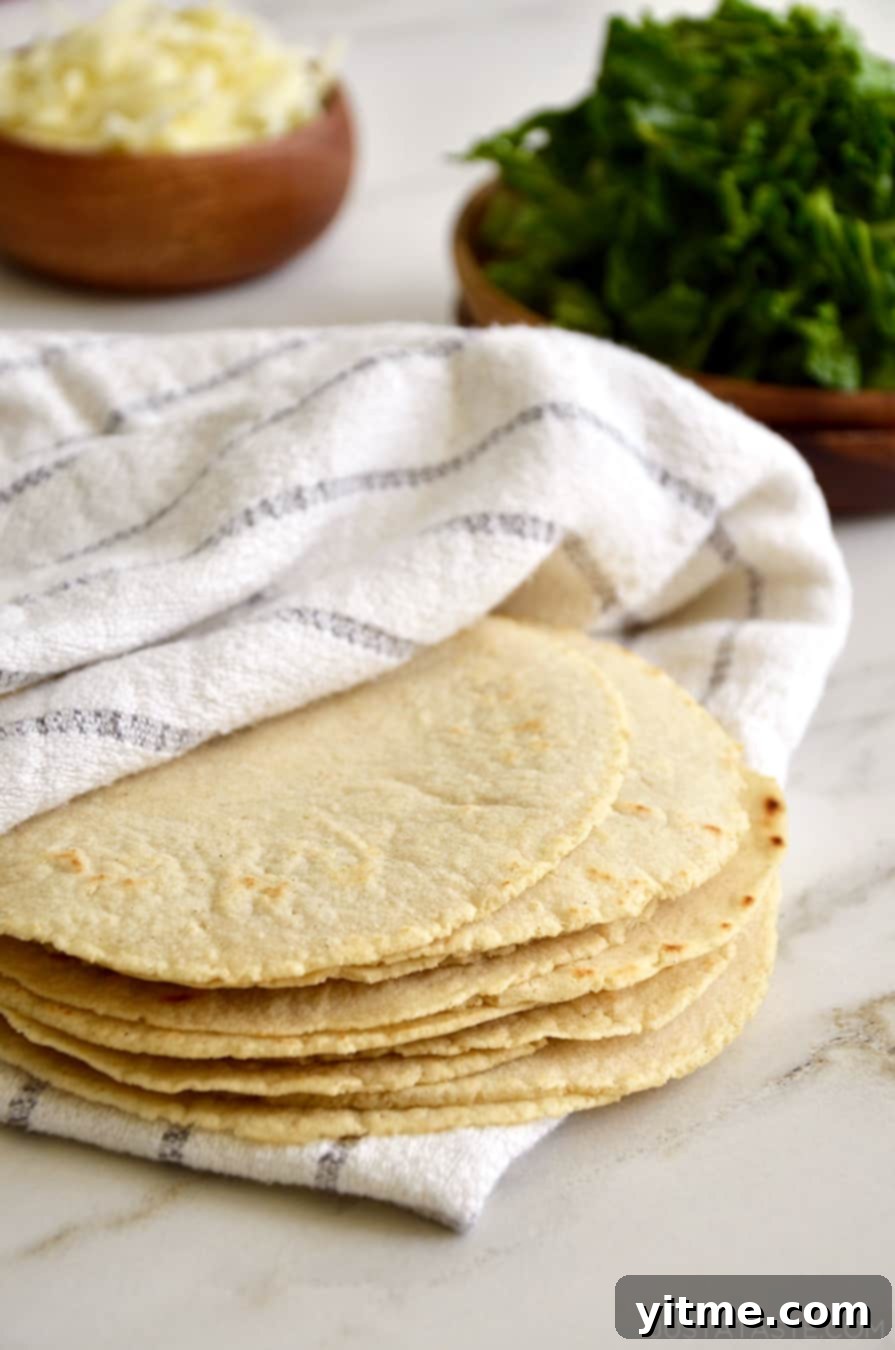 Close up of corn tortillas.