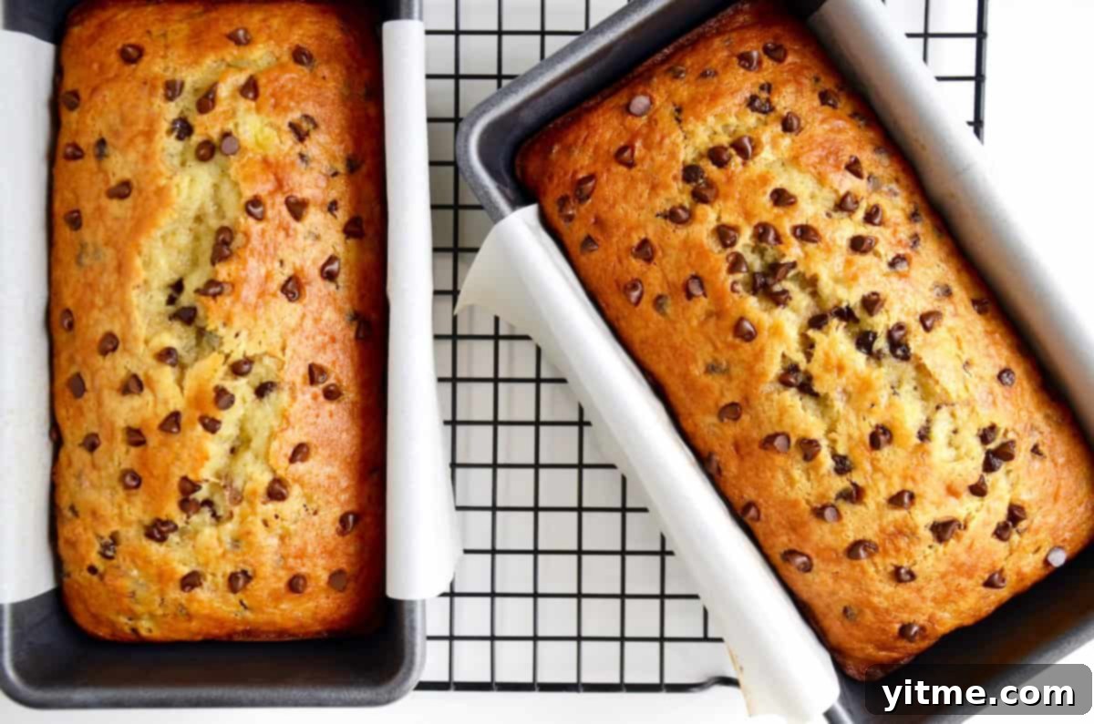 Two loaves of chocolate chip cake mix banana bread on a cooling rack