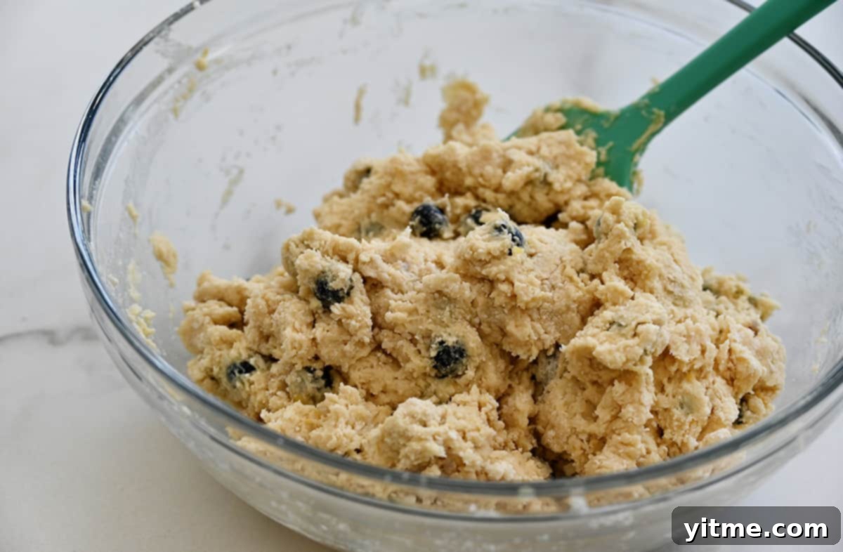 Blueberry Scone Batter