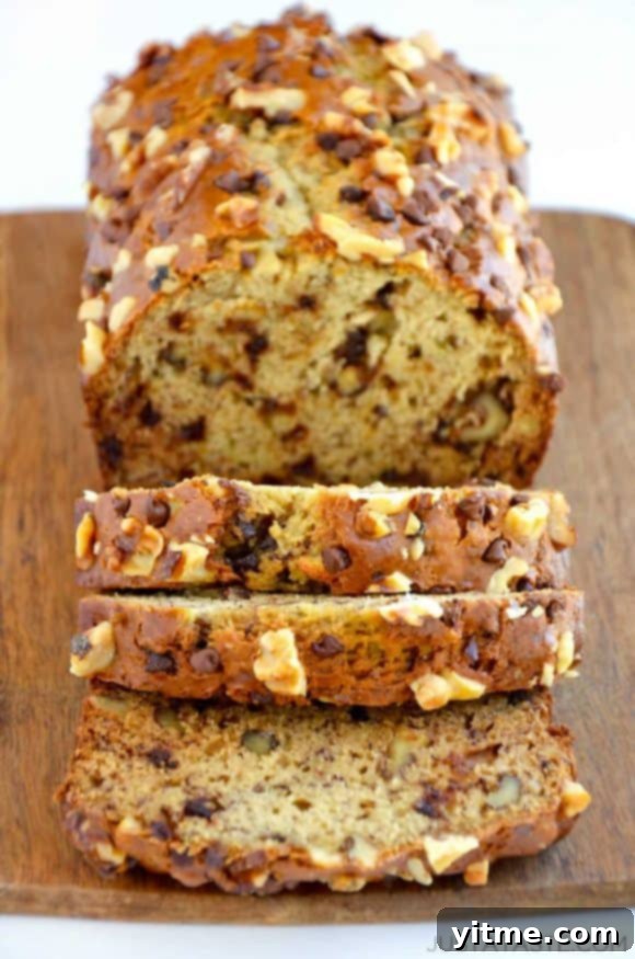 Ultimate Moist Banana Bread Recipe with Sour Cream and Chocolate Chips