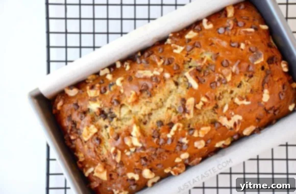 Freshly Baked Moist Banana Bread on a cooling rack