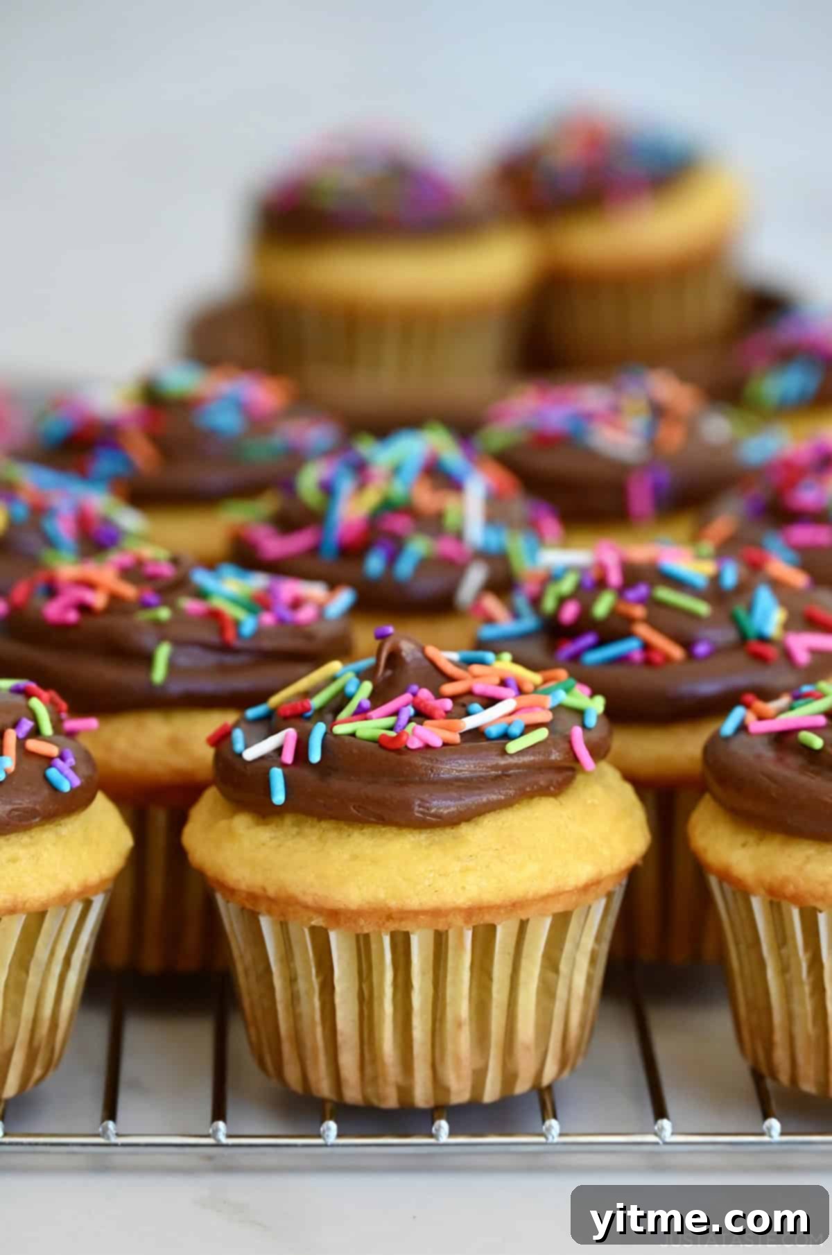 Vanilla cake mix cupcakes with chocolate frosting and rainbow sprinkles.