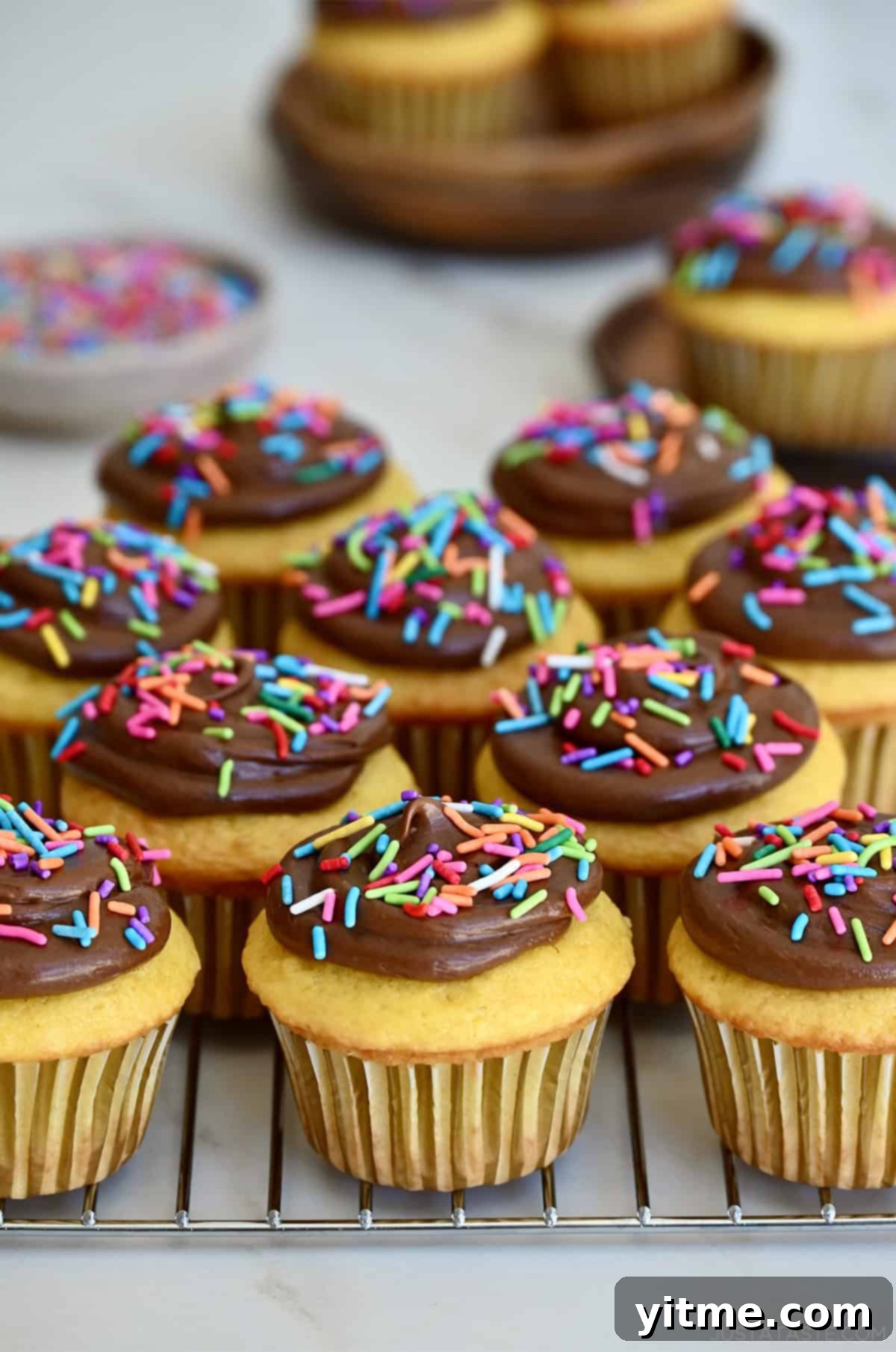 Cake mix cupcakes topped with chocolate buttercream frosting and sprinkles.