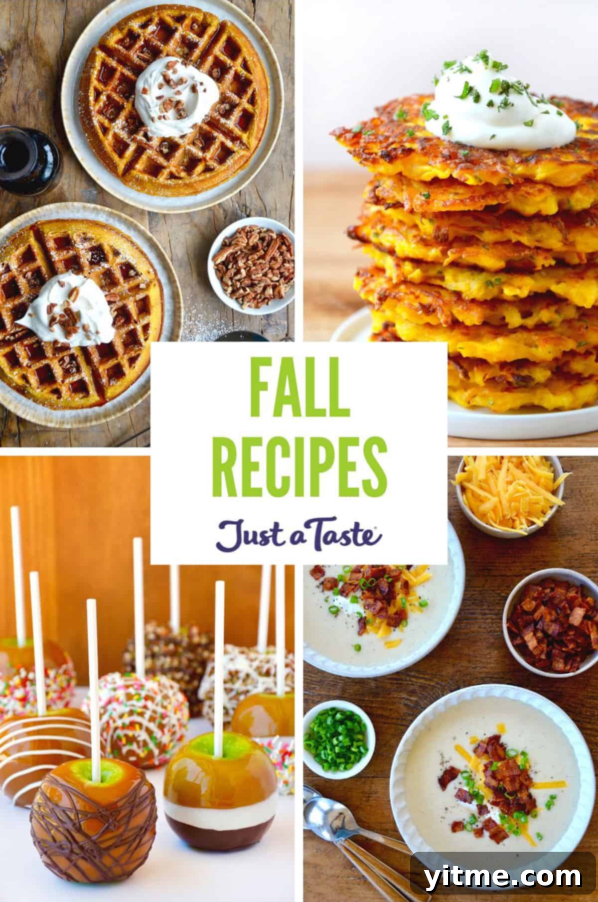 Autumn Delights: Effortless Recipes for Cozy Days 2 A delightful assortment of fall recipes, including pumpkin waffles, butternut squash fritters, loaded baked potato soup, and caramel apples.