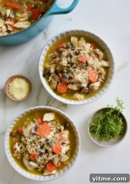 Chicken wild rice soup.