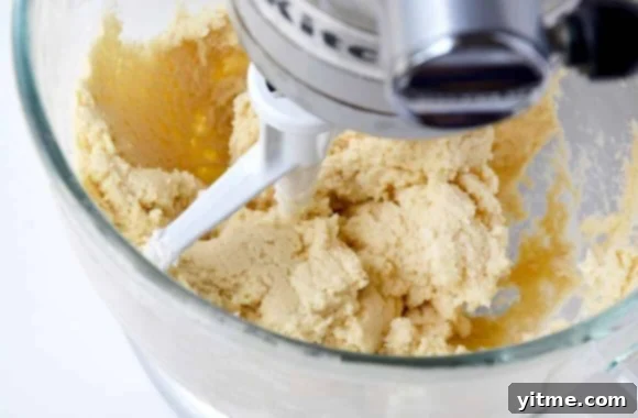 Salted Caramel Snickerdoodles Recipe