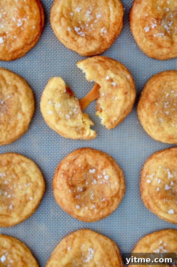 Salted Caramel Snickerdoodles Recipe